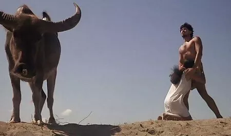 Một bắn vào jav nhat ban lưng sau khi đánh rooster trước khi tình dục.