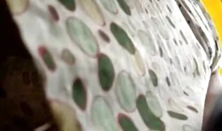 Tôn sùng đái trên âm phim nhật bản jav hộ của cô