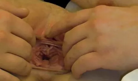 Bụi bặm khắc Tinh chơi trong bồn phim sex nhật bản không che full hd tắm.