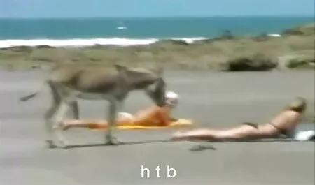 Bà mua hai trang sex nhật con gà con, trong một cuộc phỏng vấn việc làm.